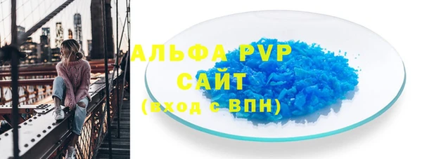 мяу мяу мука Магас