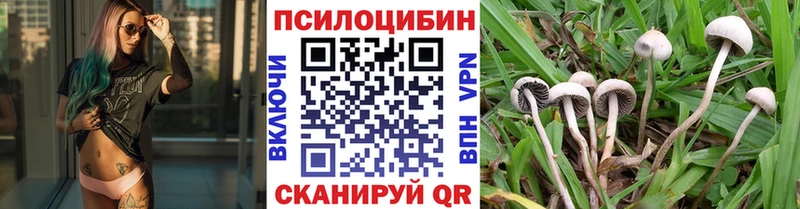 Купить где  Новый Оскол  Псилоцибиновые грибы ЛСД 